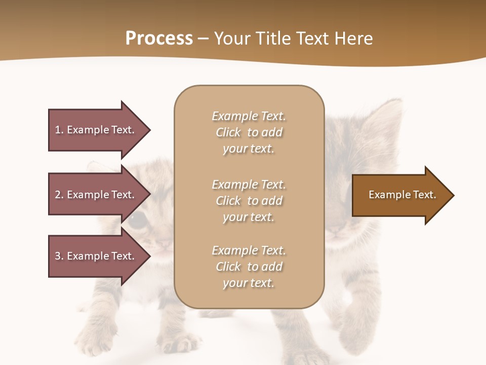 Sweet Furry Isolated PowerPoint Template