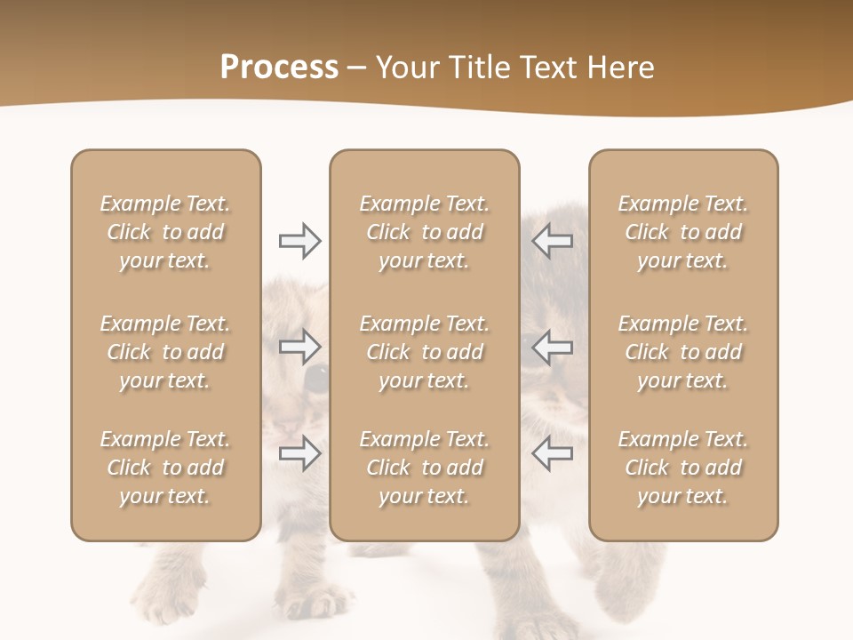 Sweet Furry Isolated PowerPoint Template