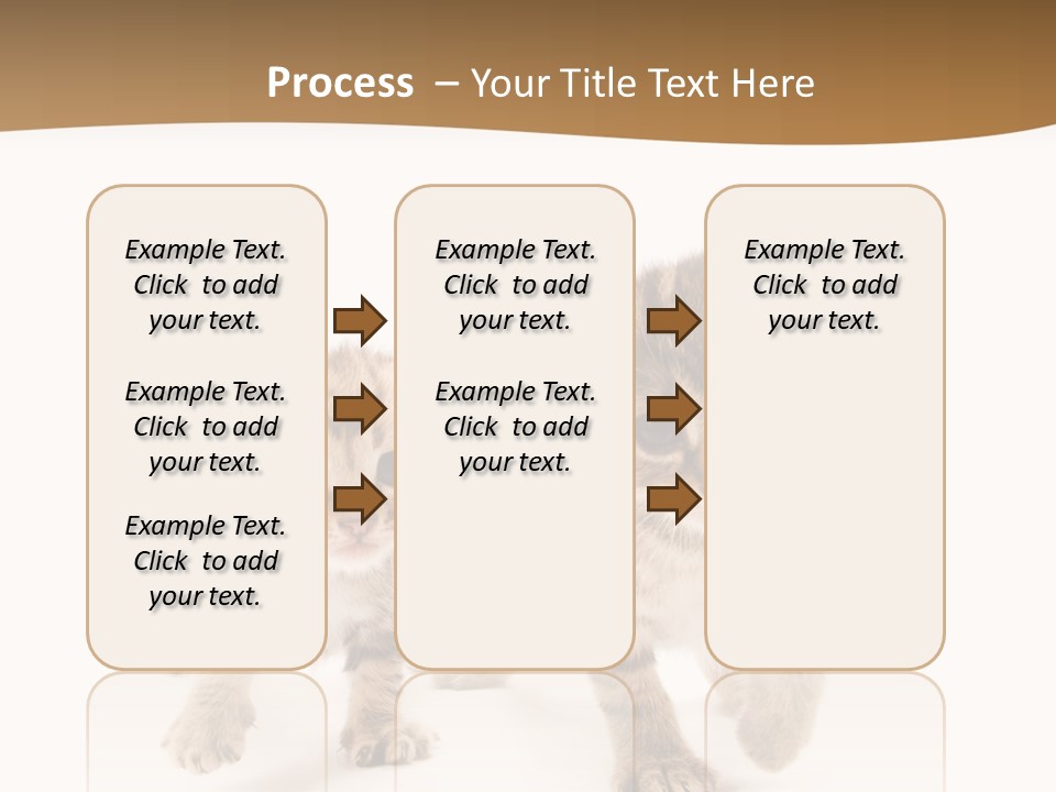 Sweet Furry Isolated PowerPoint Template