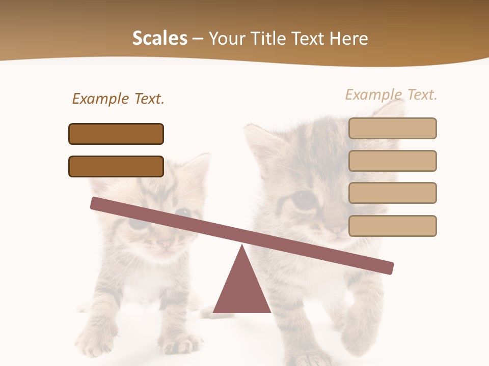 Sweet Furry Isolated PowerPoint Template