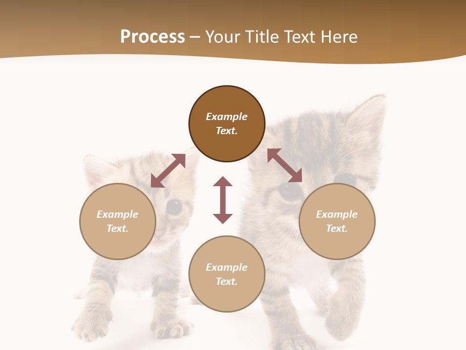 Sweet Furry Isolated PowerPoint Template