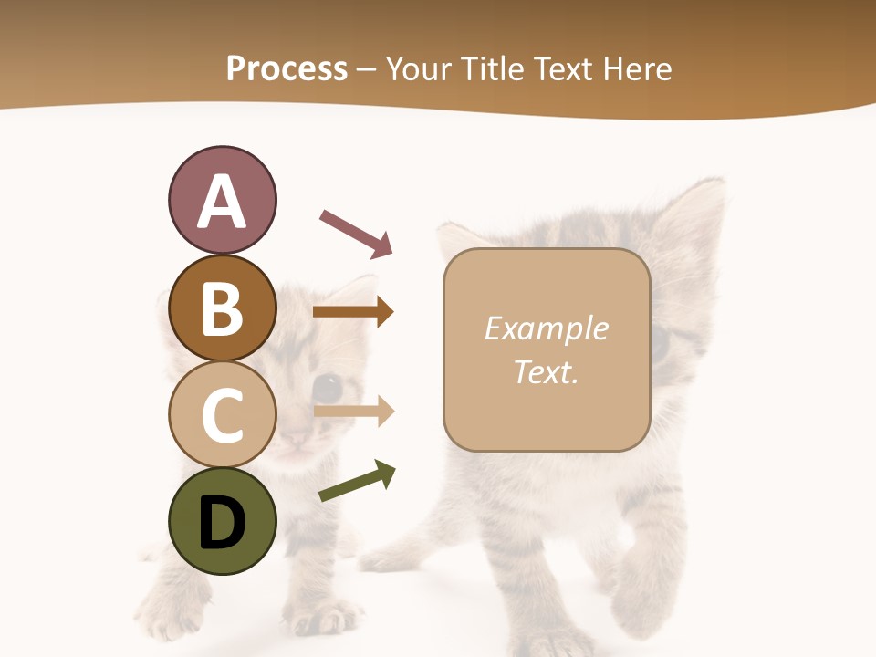 Sweet Furry Isolated PowerPoint Template