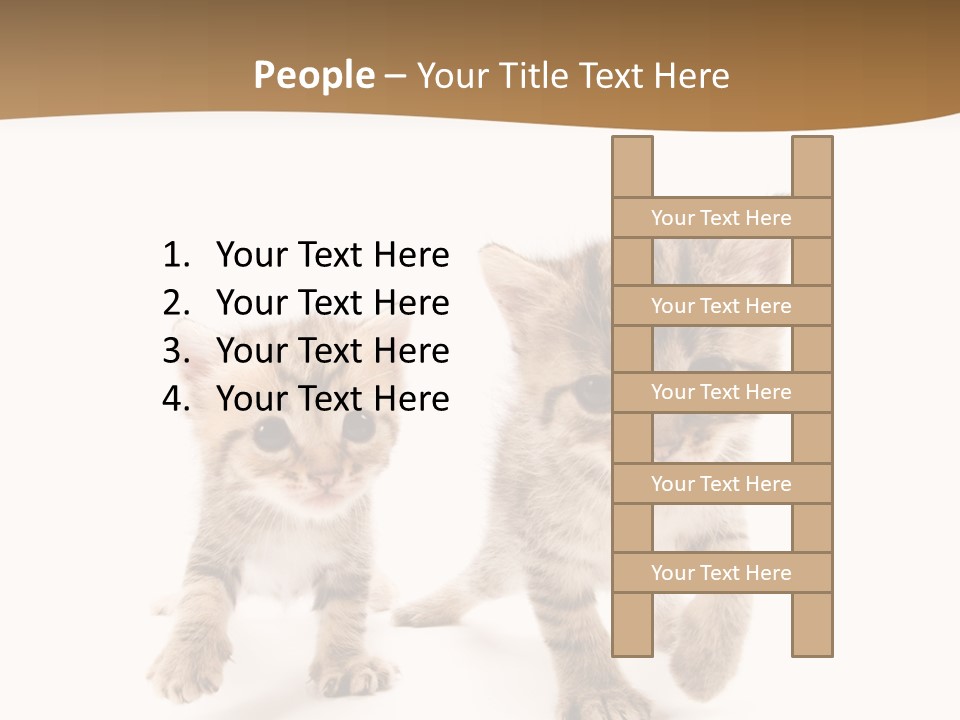 Sweet Furry Isolated PowerPoint Template