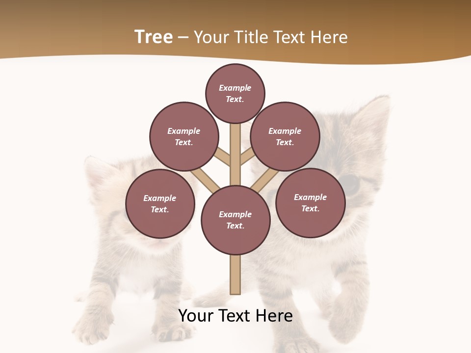Sweet Furry Isolated PowerPoint Template