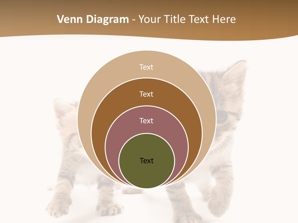 Sweet Furry Isolated PowerPoint Template