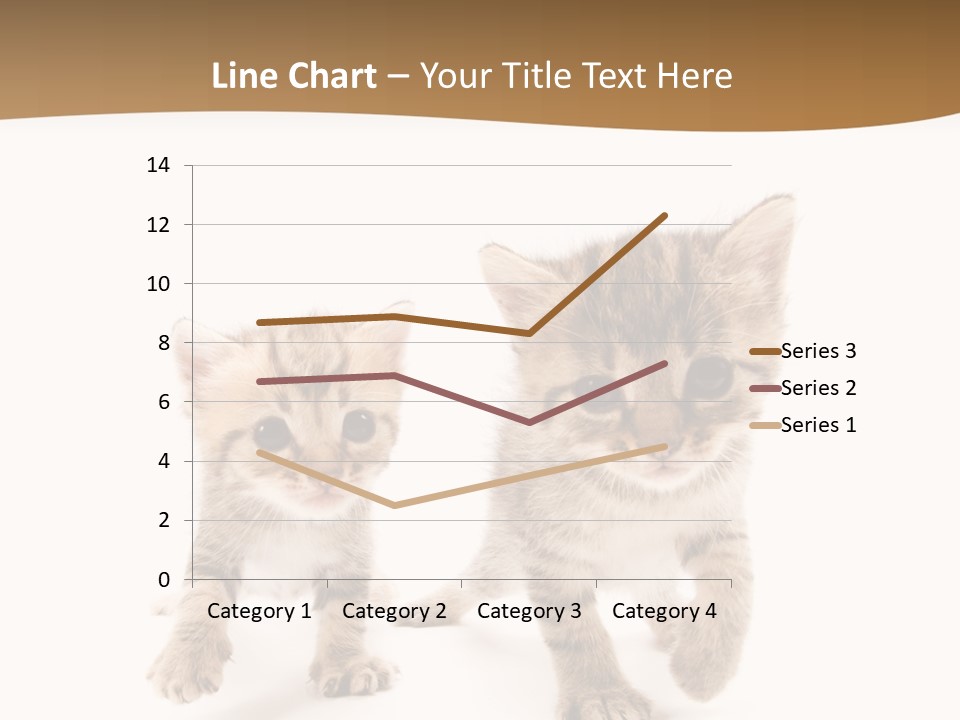 Sweet Furry Isolated PowerPoint Template