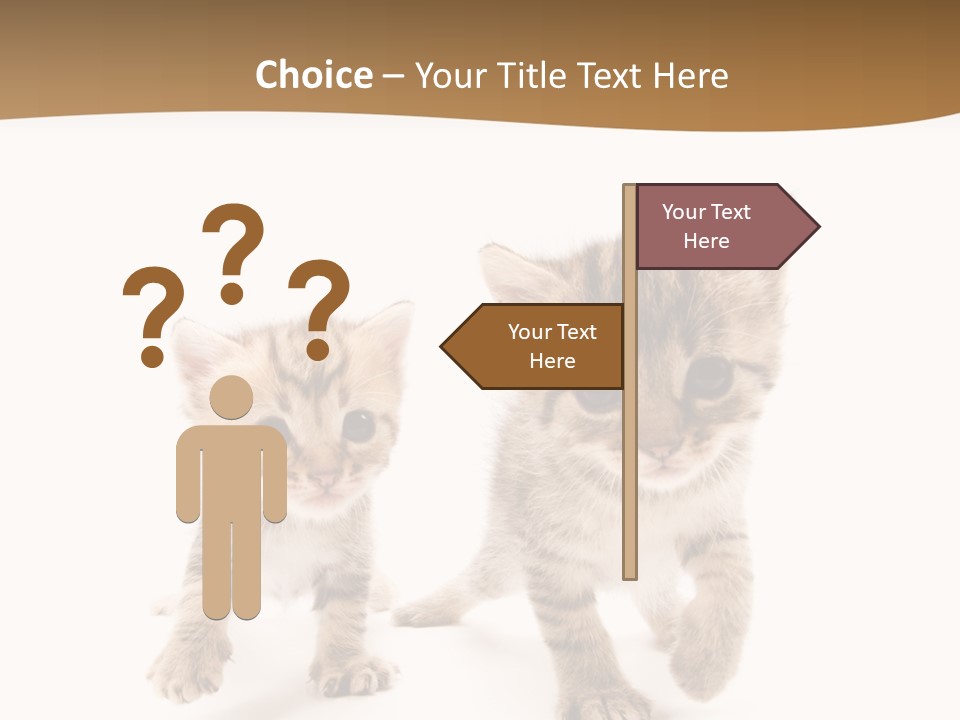 Sweet Furry Isolated PowerPoint Template