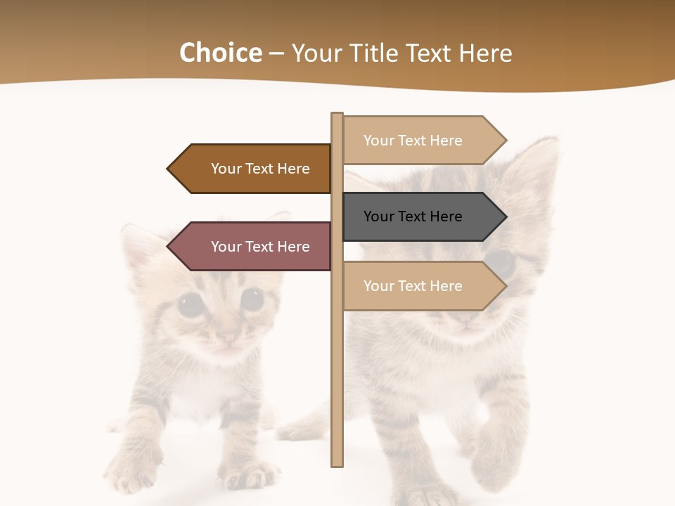 Sweet Furry Isolated PowerPoint Template