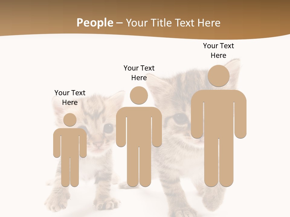 Sweet Furry Isolated PowerPoint Template