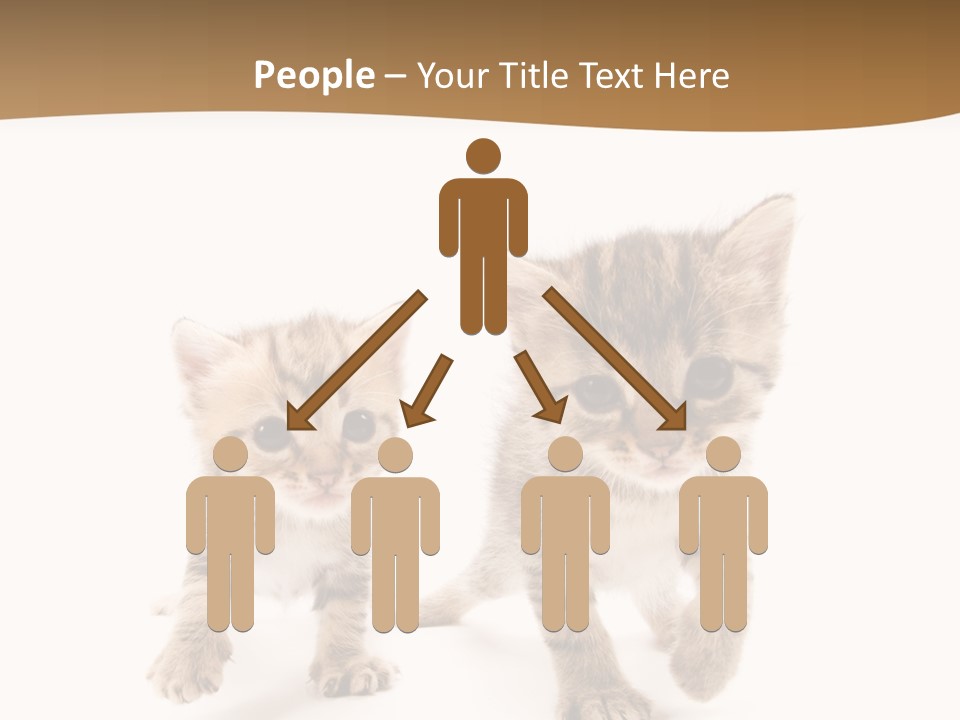 Sweet Furry Isolated PowerPoint Template