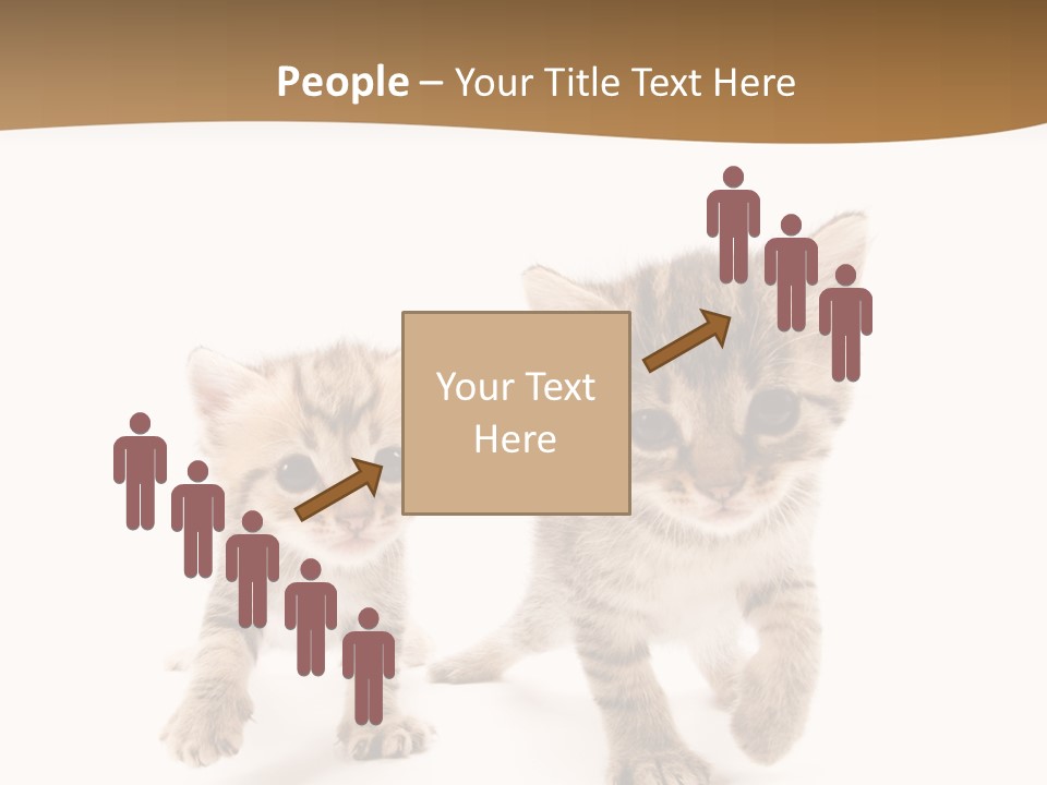 Sweet Furry Isolated PowerPoint Template