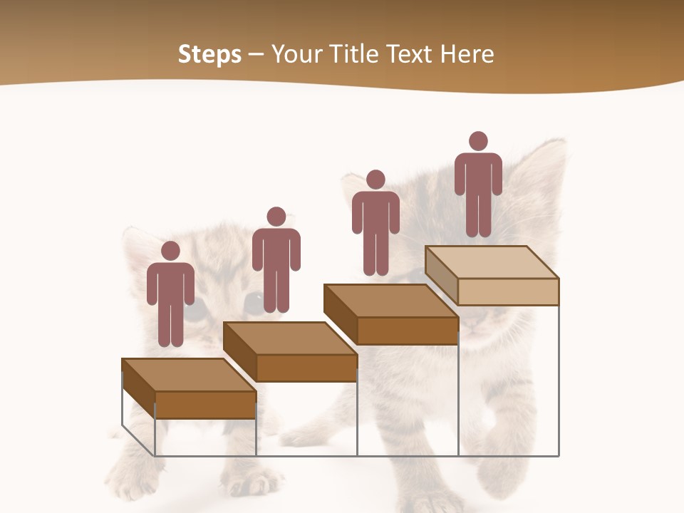 Sweet Furry Isolated PowerPoint Template