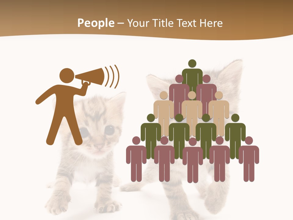 Sweet Furry Isolated PowerPoint Template
