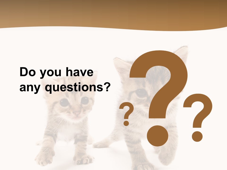 Sweet Furry Isolated PowerPoint Template