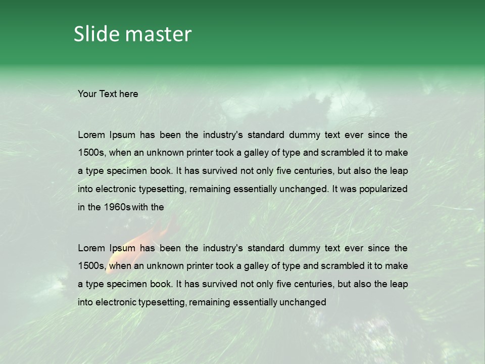 Kelp Sun Reef PowerPoint Template