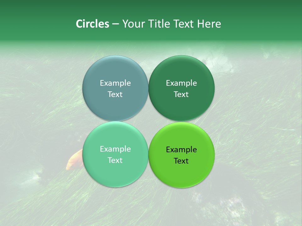 Kelp Sun Reef PowerPoint Template