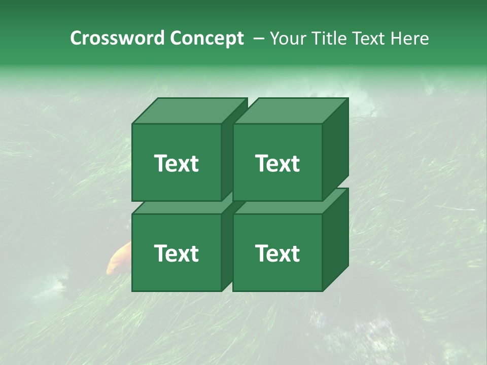Kelp Sun Reef PowerPoint Template