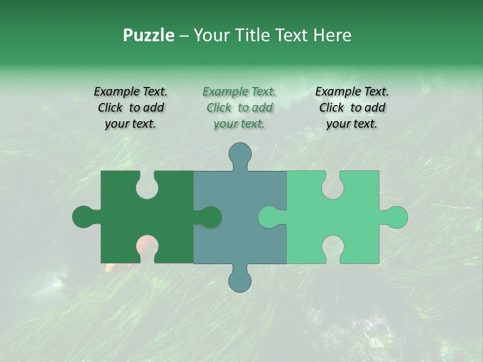 Kelp Sun Reef PowerPoint Template