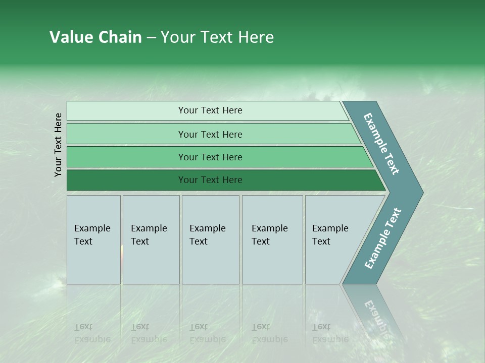 Kelp Sun Reef PowerPoint Template