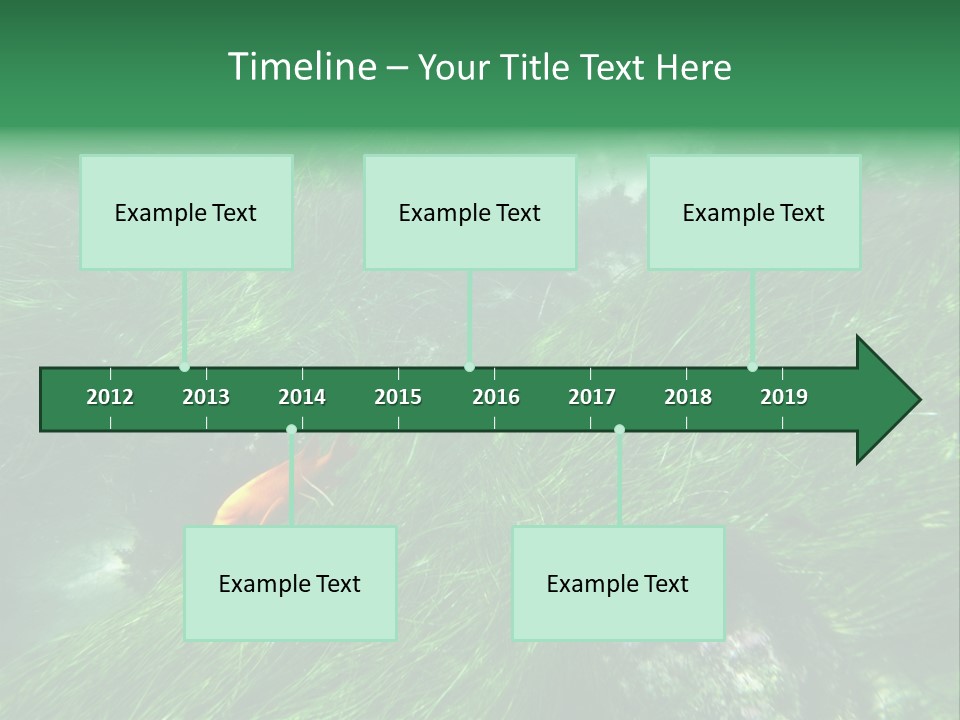 Kelp Sun Reef PowerPoint Template
