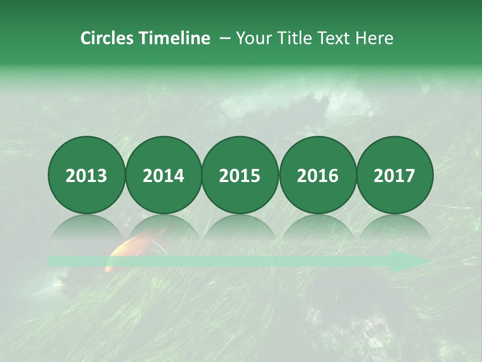 Kelp Sun Reef PowerPoint Template