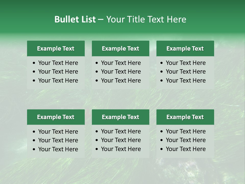 Kelp Sun Reef PowerPoint Template