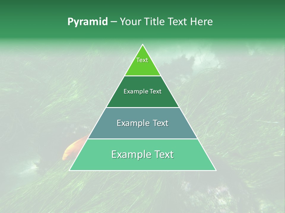 Kelp Sun Reef PowerPoint Template