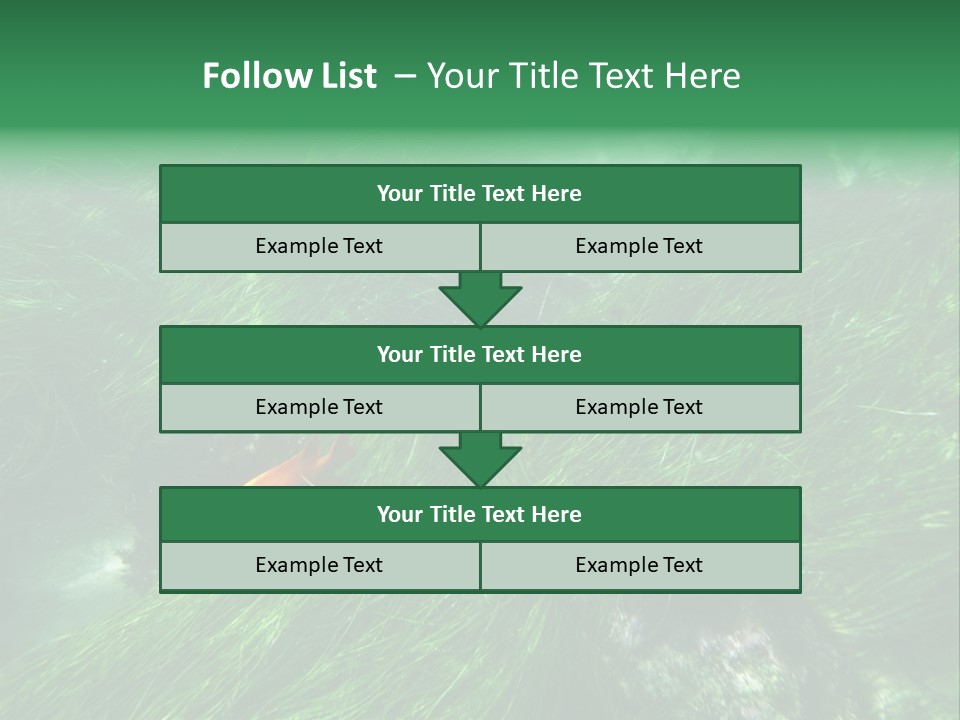 Kelp Sun Reef PowerPoint Template