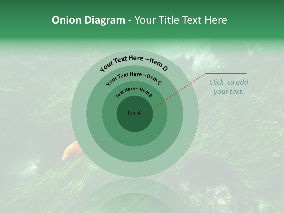 Kelp Sun Reef PowerPoint Template