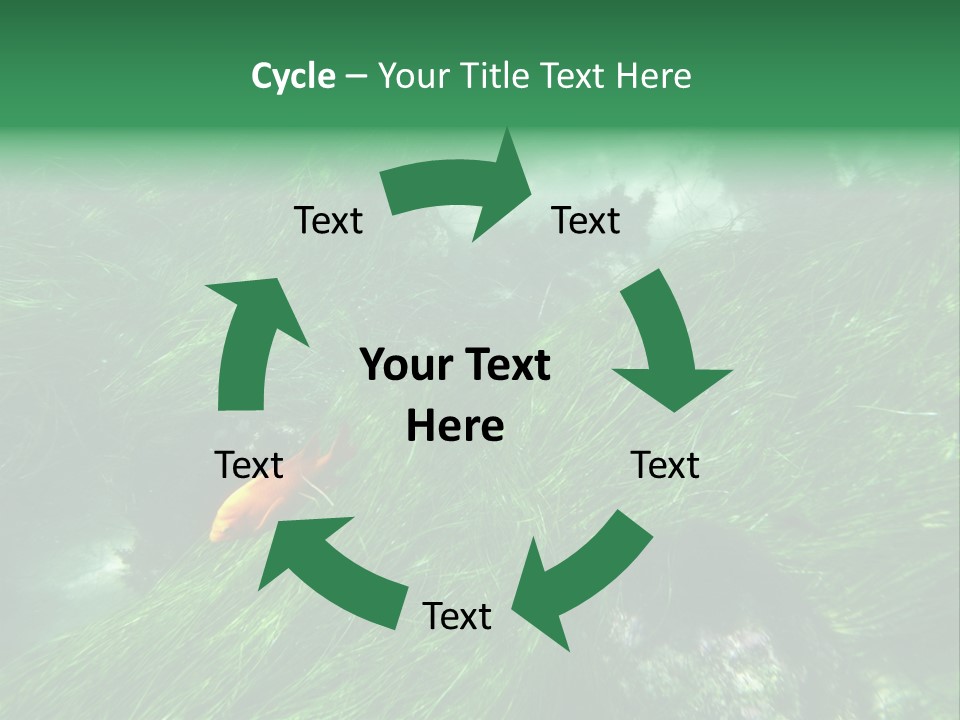 Kelp Sun Reef PowerPoint Template