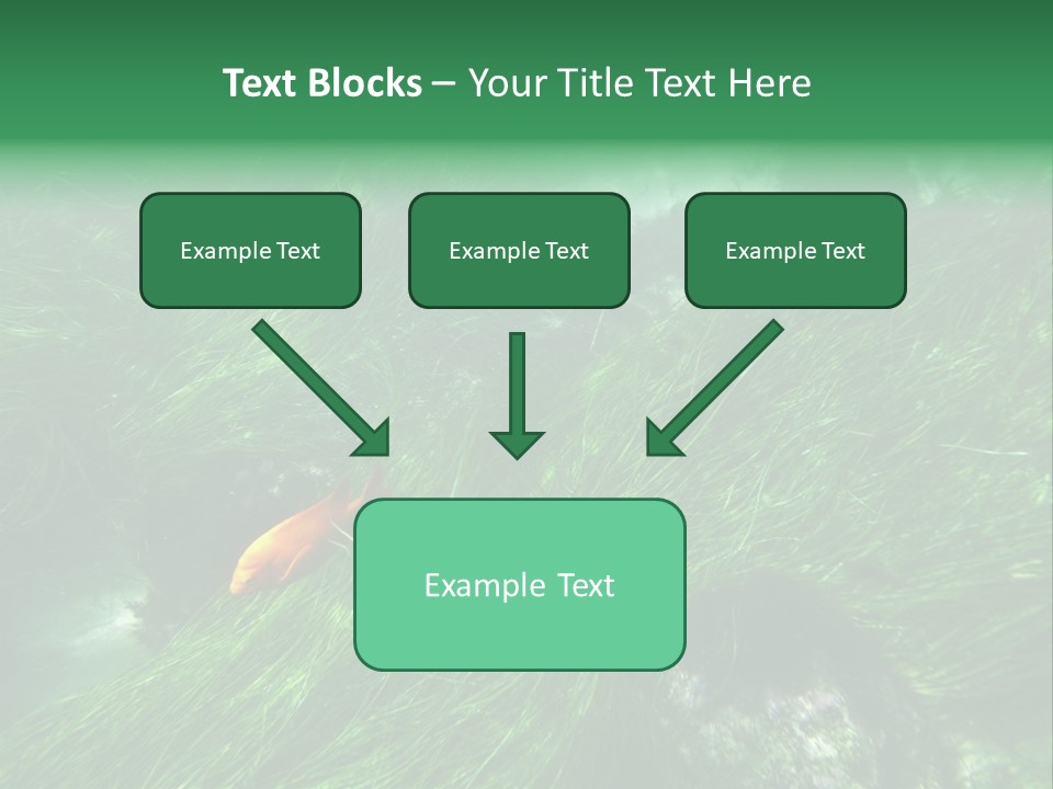 Kelp Sun Reef PowerPoint Template