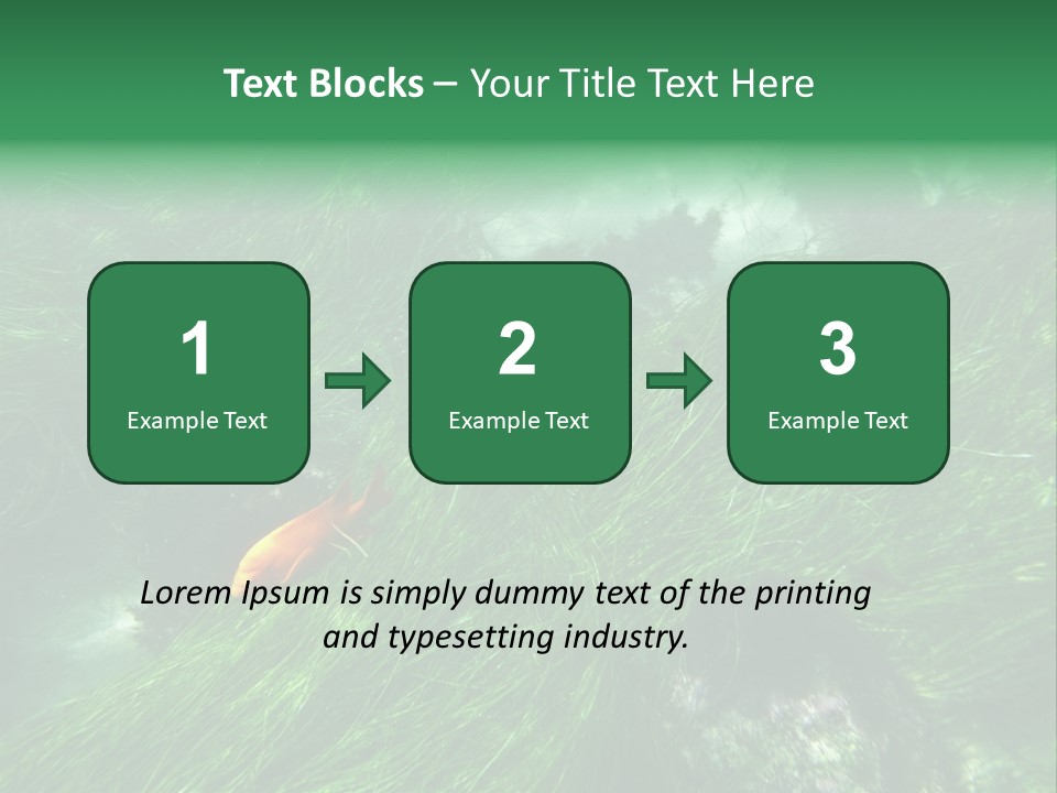 Kelp Sun Reef PowerPoint Template