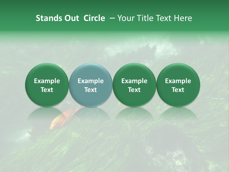 Kelp Sun Reef PowerPoint Template