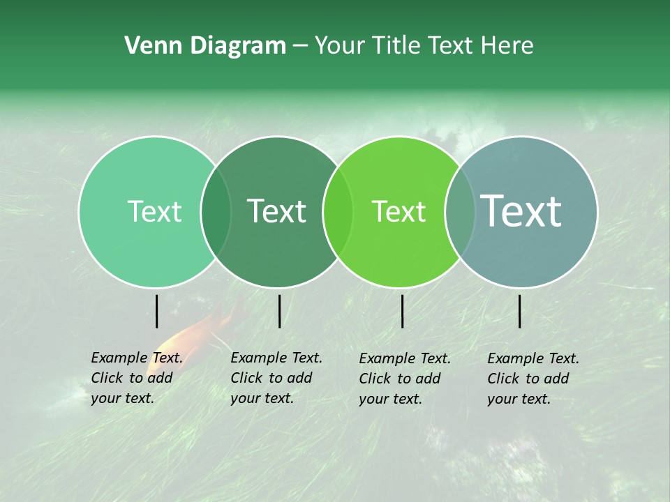 Kelp Sun Reef PowerPoint Template