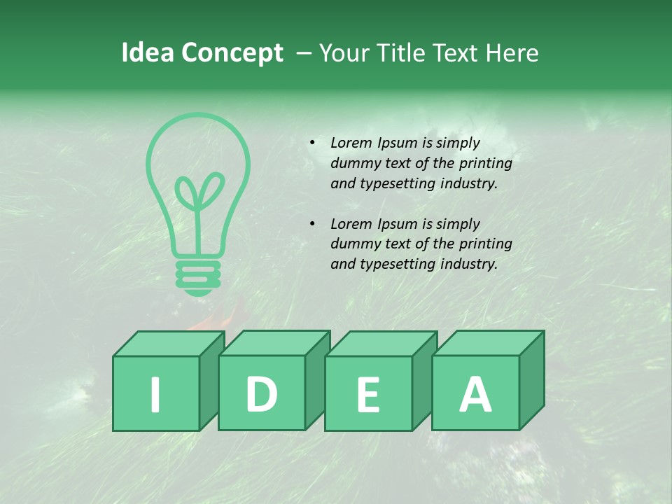 Kelp Sun Reef PowerPoint Template