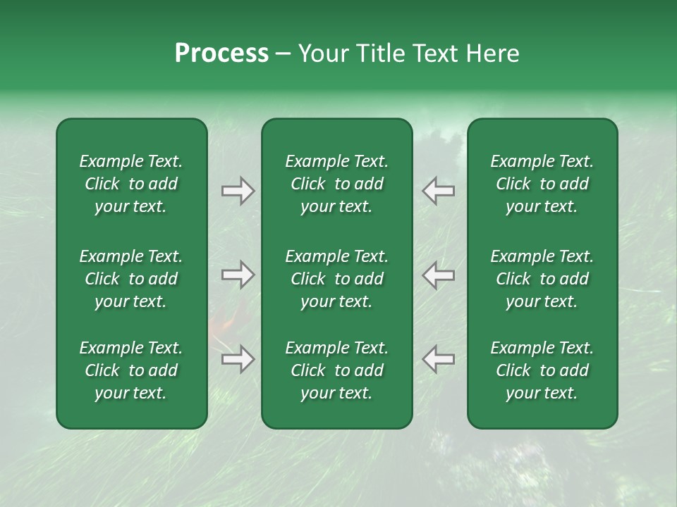 Kelp Sun Reef PowerPoint Template
