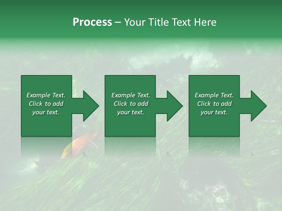 Kelp Sun Reef PowerPoint Template