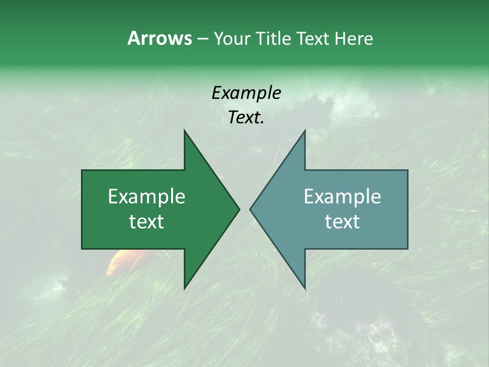 Kelp Sun Reef PowerPoint Template