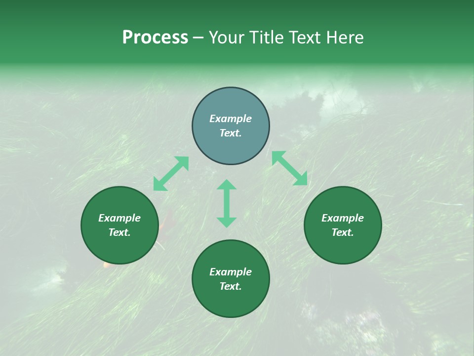 Kelp Sun Reef PowerPoint Template