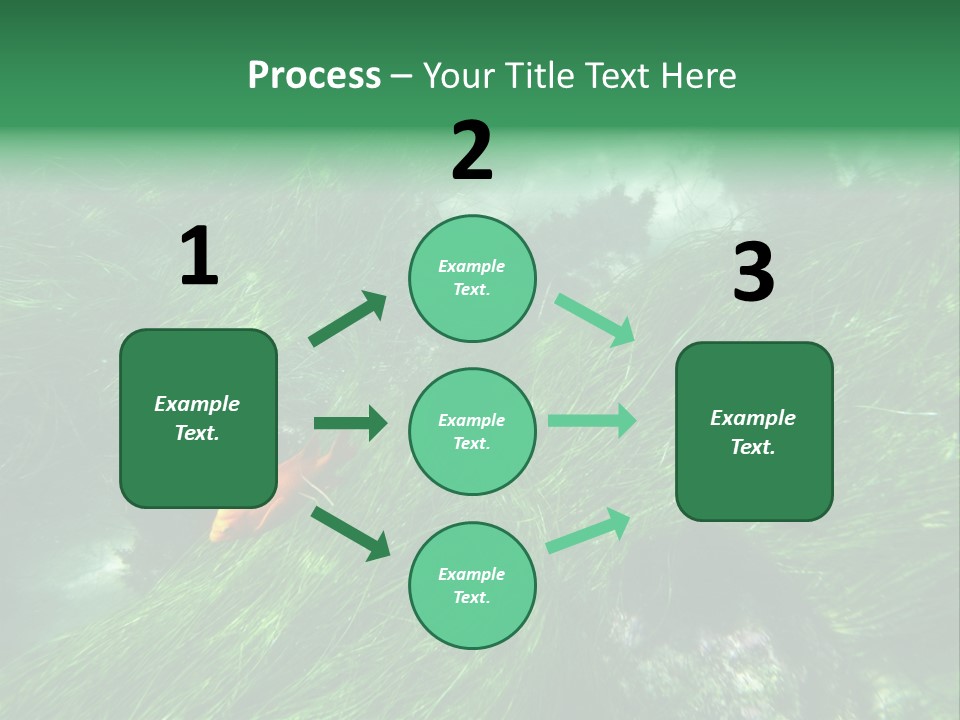 Kelp Sun Reef PowerPoint Template