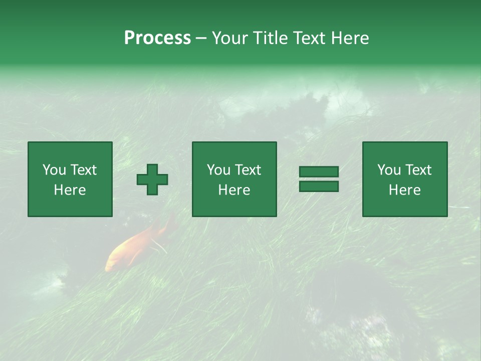 Kelp Sun Reef PowerPoint Template