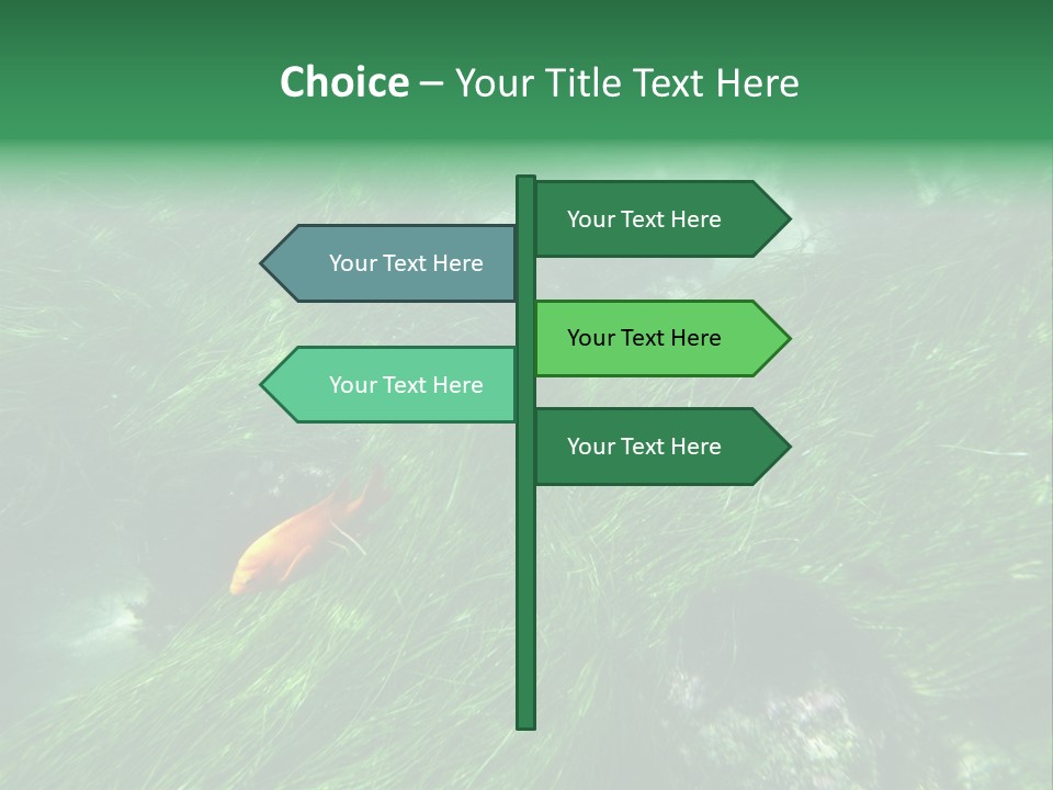 Kelp Sun Reef PowerPoint Template