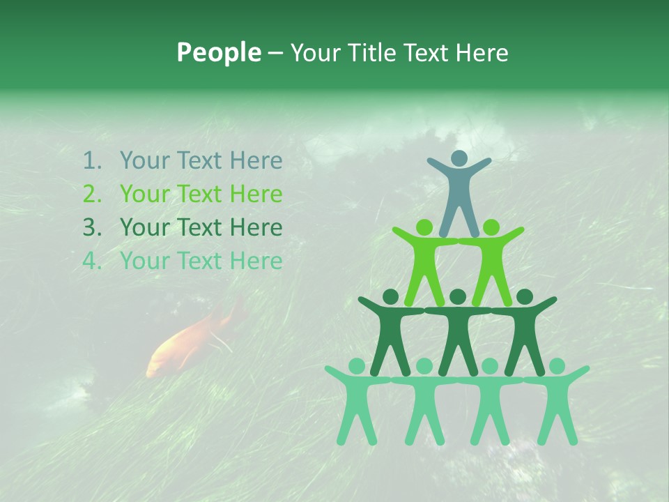 Kelp Sun Reef PowerPoint Template