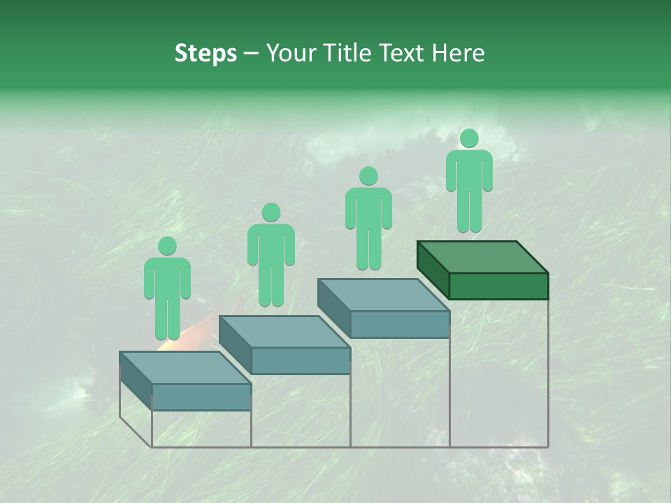 Kelp Sun Reef PowerPoint Template