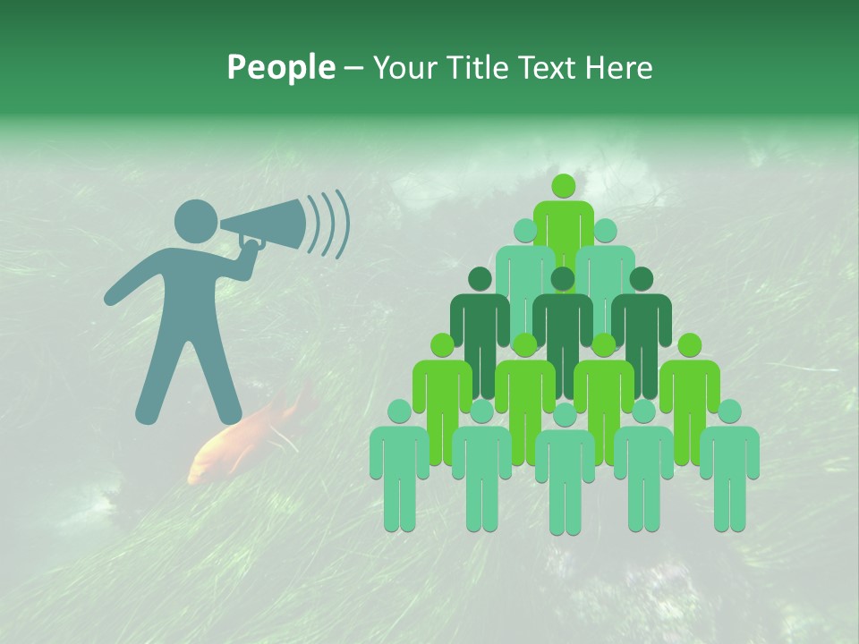 Kelp Sun Reef PowerPoint Template