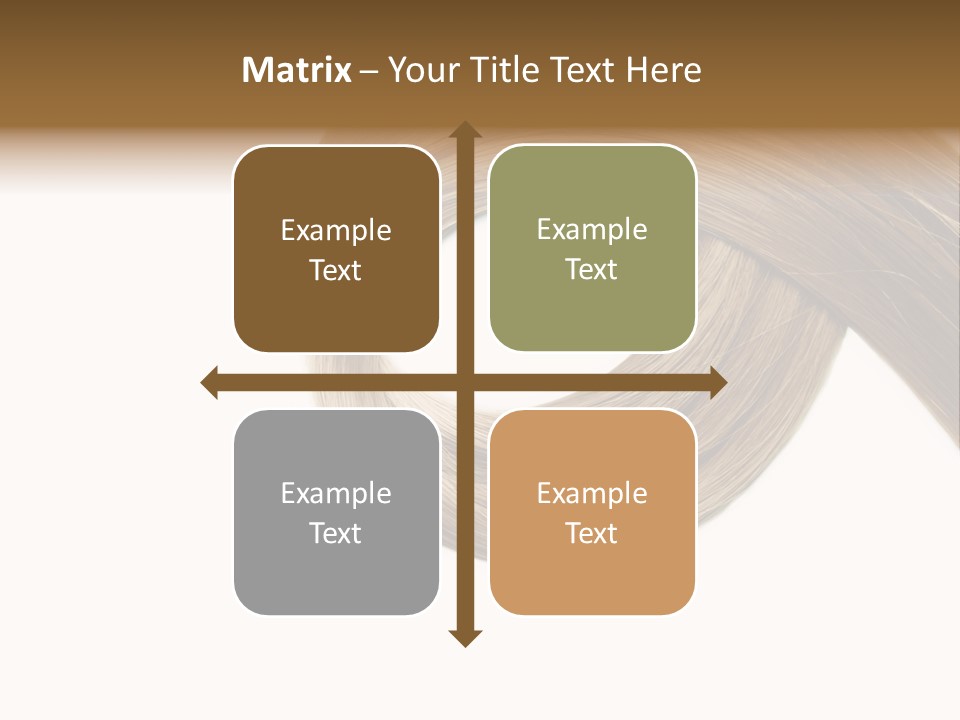 Shampoo Coiffure Hair PowerPoint Template