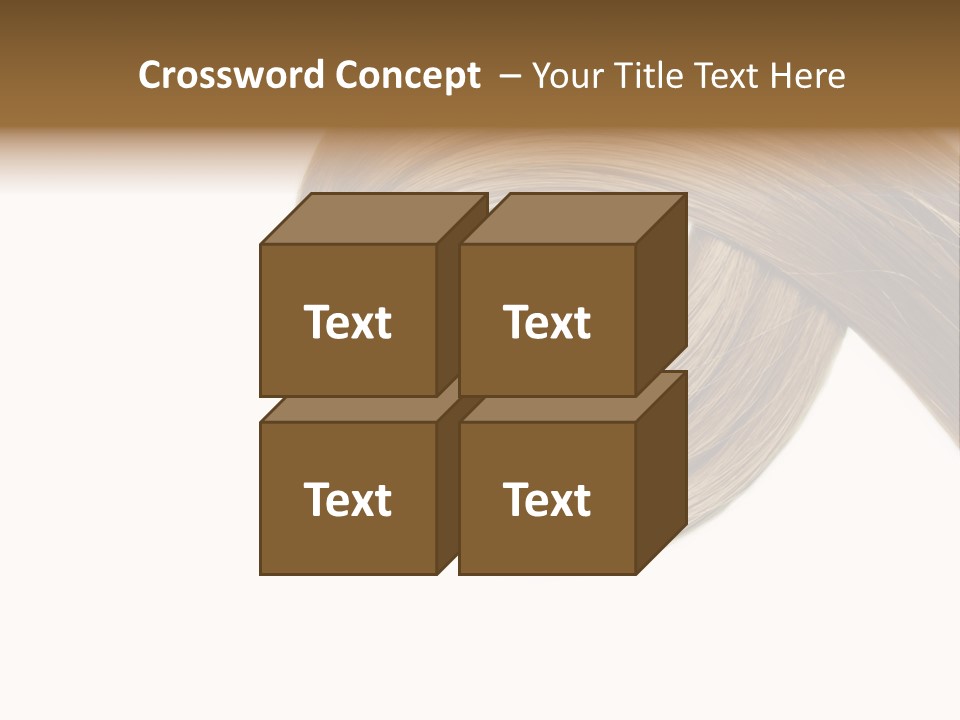 Shampoo Coiffure Hair PowerPoint Template