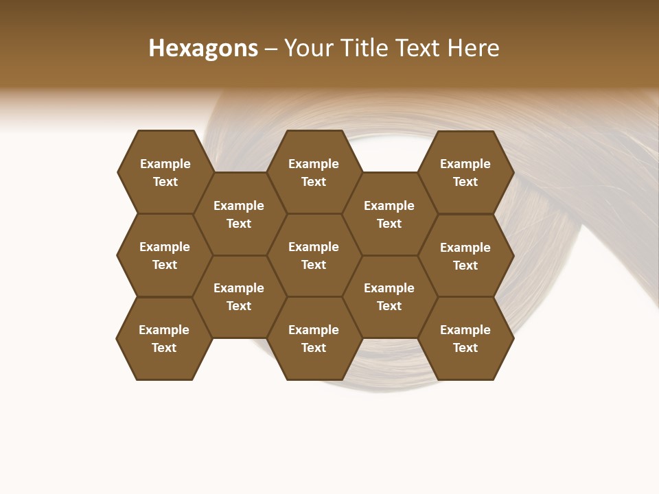 Shampoo Coiffure Hair PowerPoint Template