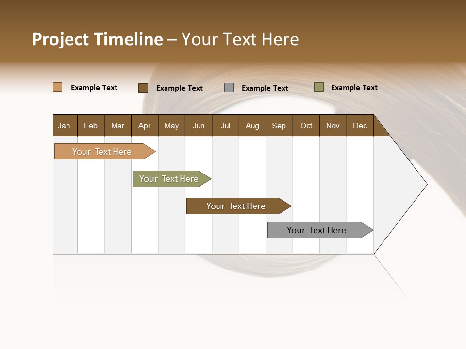 Shampoo Coiffure Hair PowerPoint Template