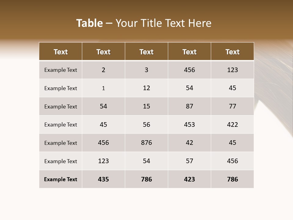 Shampoo Coiffure Hair PowerPoint Template